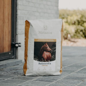 Metazoa BalanceFit Timothee